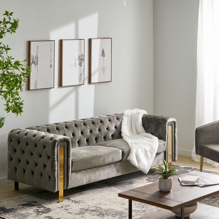 luxury couch colorado